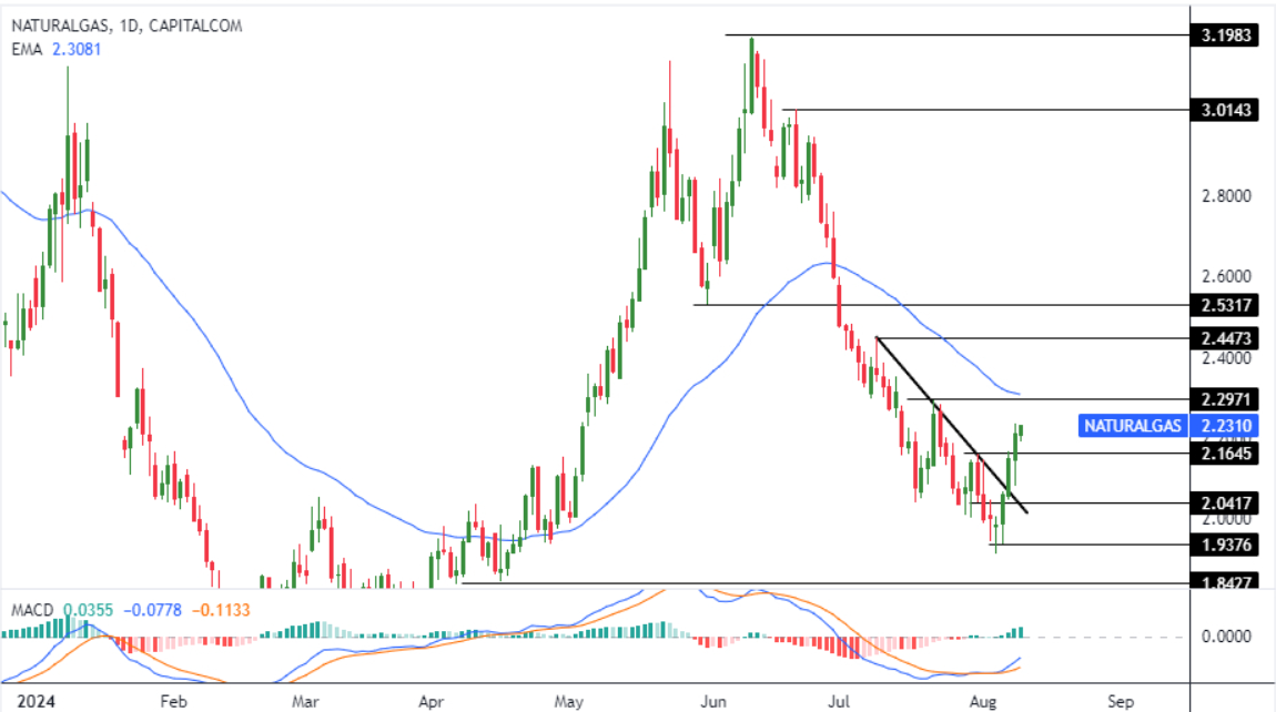 شارت سعر الغاز الطبيعى 