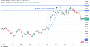 شارت البيتكوين مقابل الدولار الامريكى