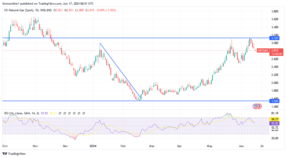 شارت سعر الغاز الطبيعى 