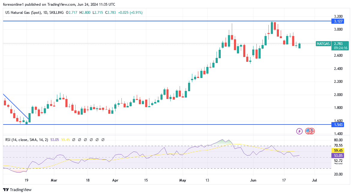 شارت سعر الغاز الطبيعى 