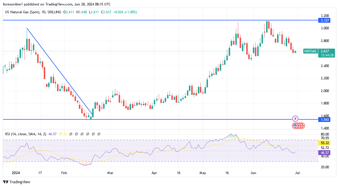 شارت سعر الغاز الطبيعى 