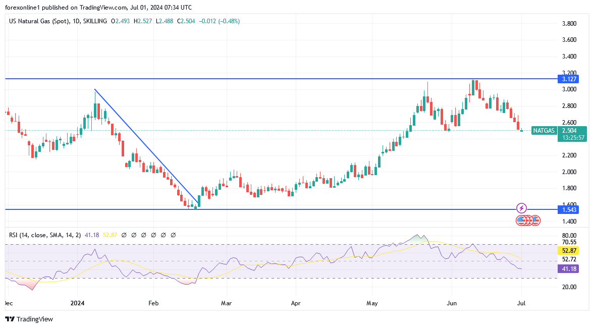 شارت سعر الغاز الطبيعى 