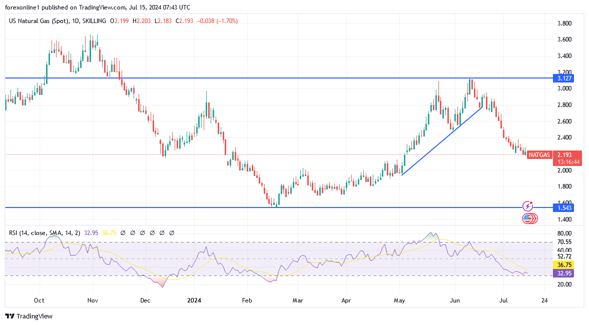 شارت سعر الغاز الطبيعى 