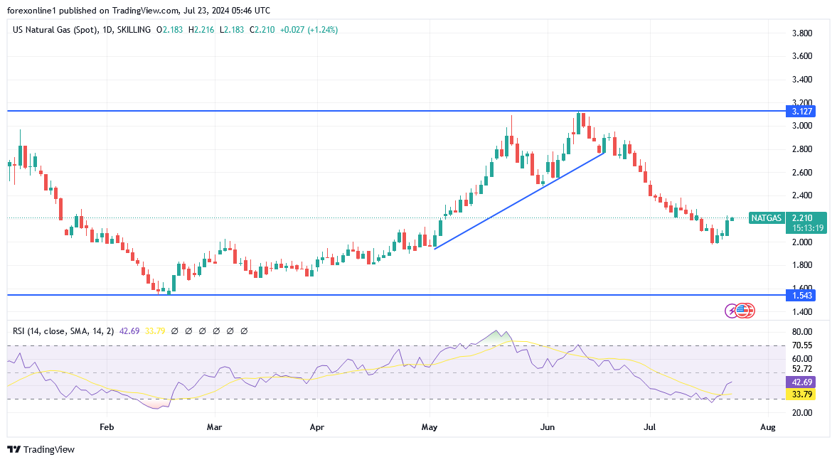 شارت سعر الغاز الطبيعى 