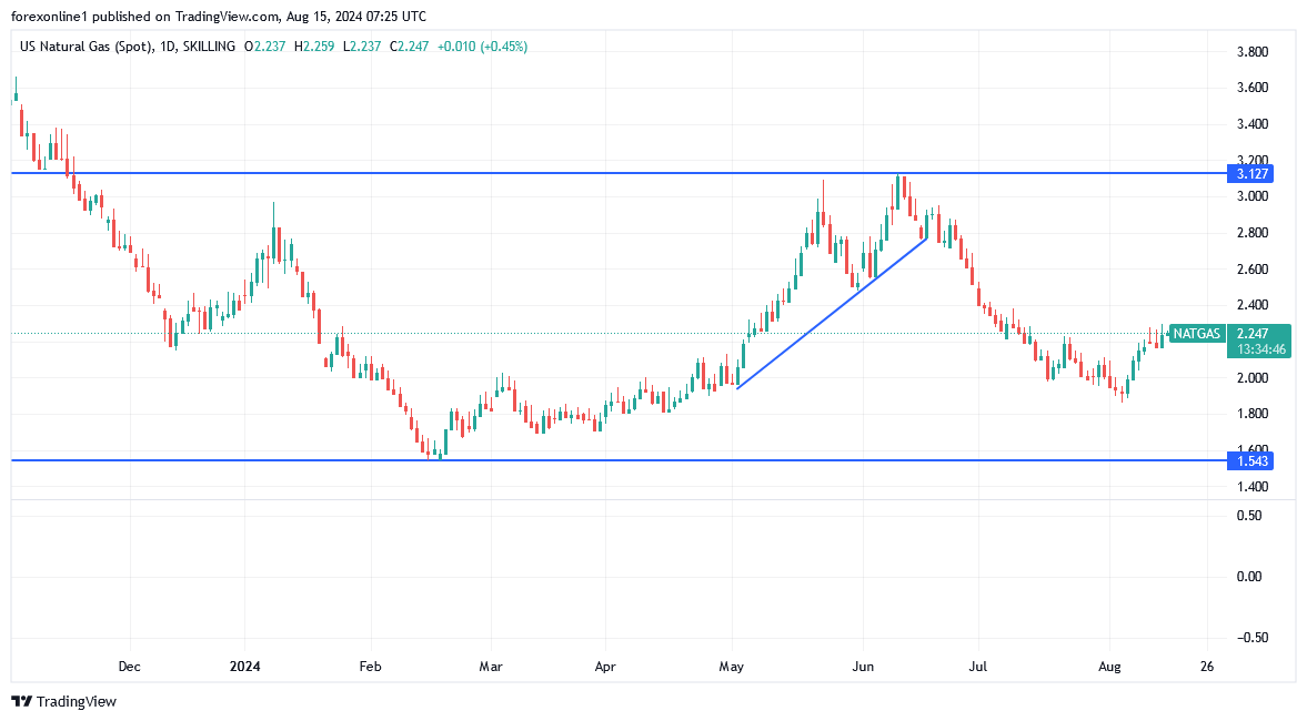 شارت سعر الغاز الطبيعى 