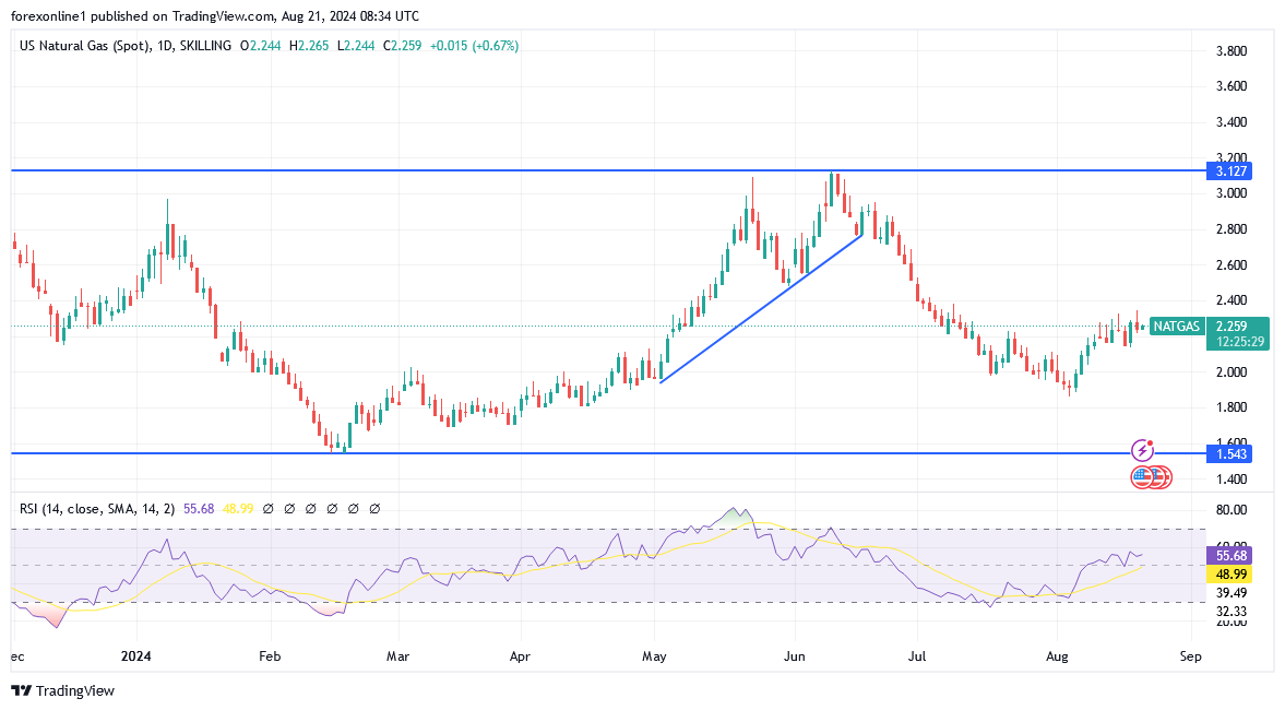 شارت سعر الغاز الطبيعى