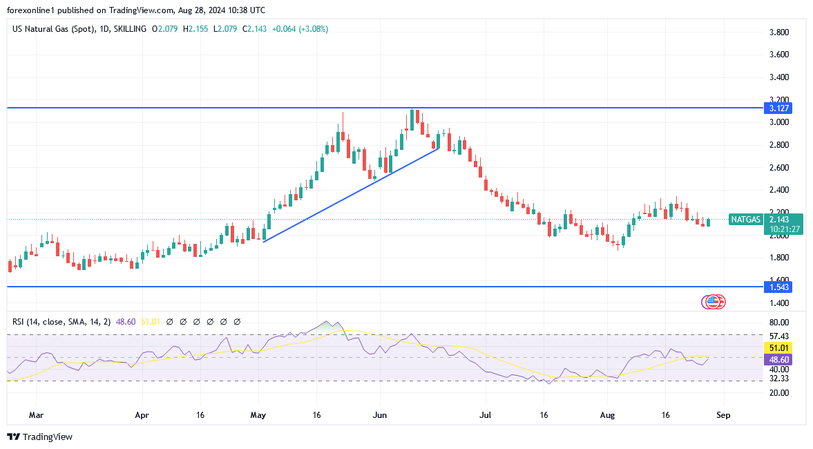 شارت سعر الغاز الطبيعى 