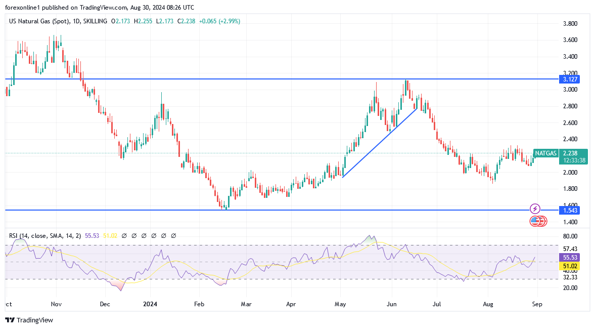 شارت سعر الغاز الطبيعى 