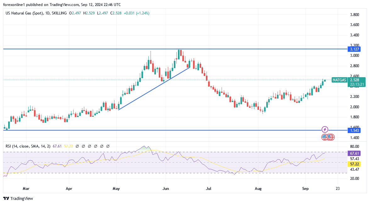 شارت سعر الغاز الطبيعى 