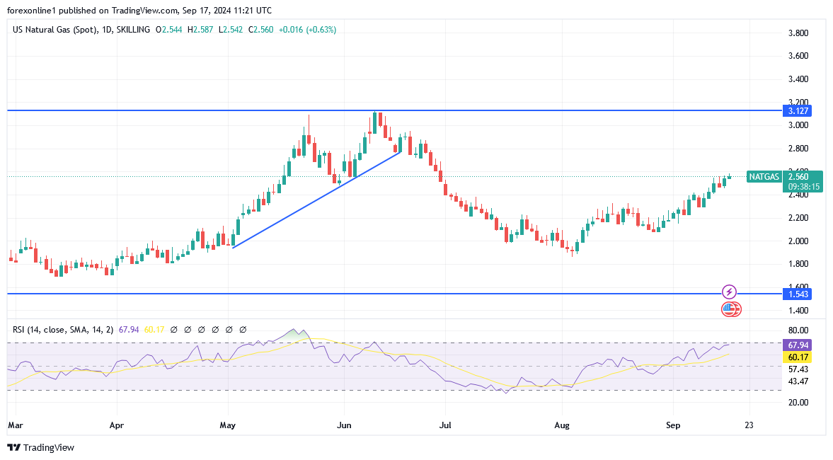 شارت سعر الغاز الطبيعى 