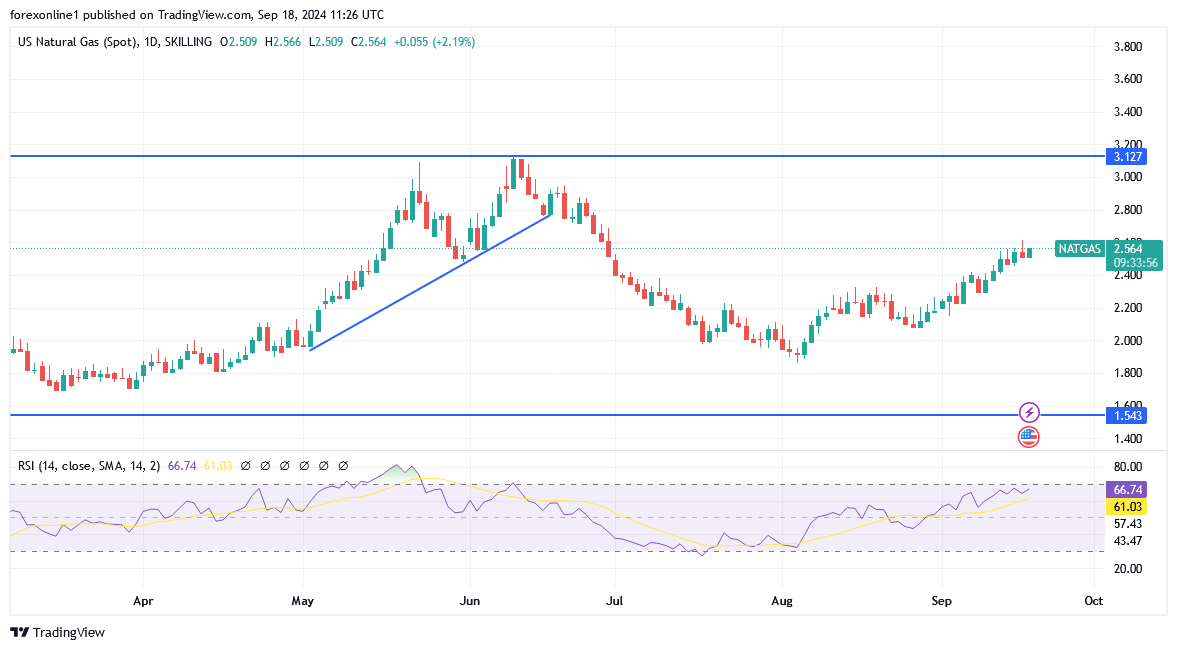 شارت سعر الغاز الطبيعى