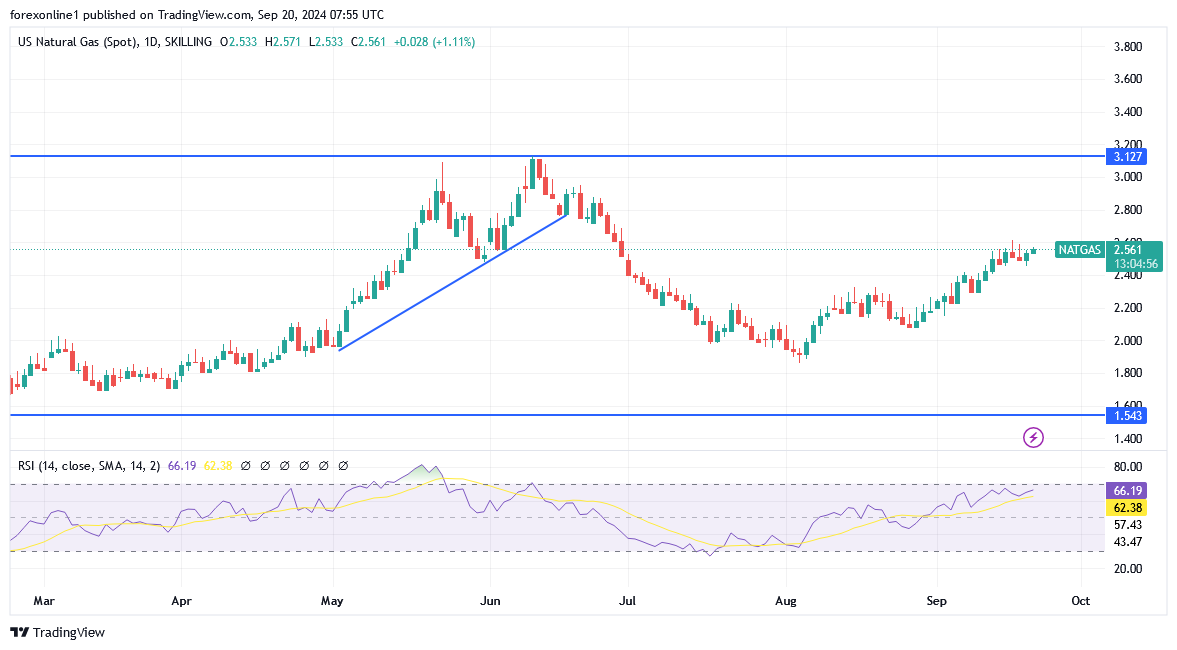 شارت سعر الغاز الطبيعى 