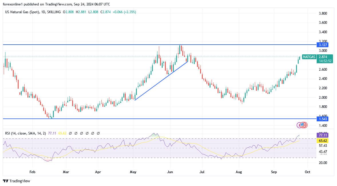 شارت سعر الغاز الطبيعى 