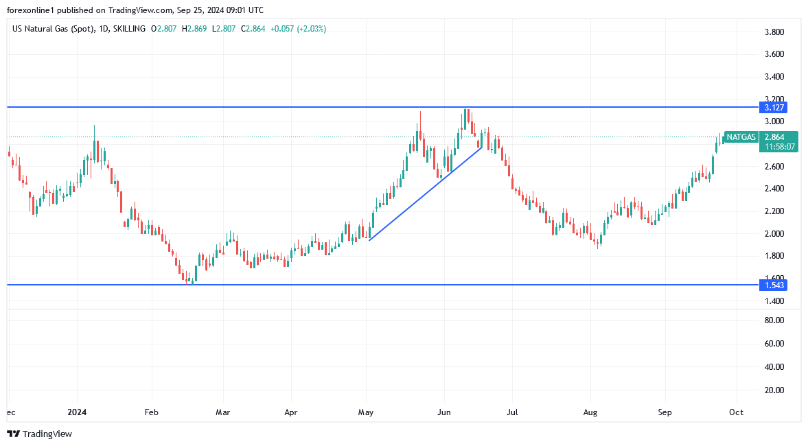 شارت سعر الغاز الطبيعى