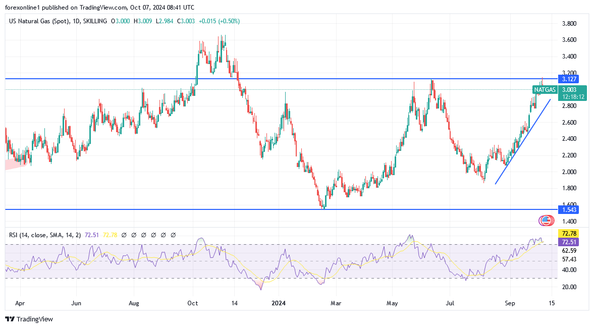 شارت سعر الغاز الطبيعى 