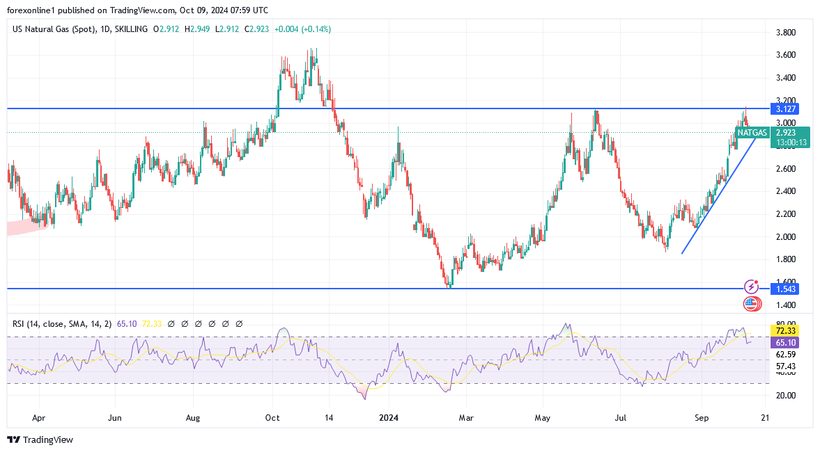 شارت سعر الغاز الطبيعى 