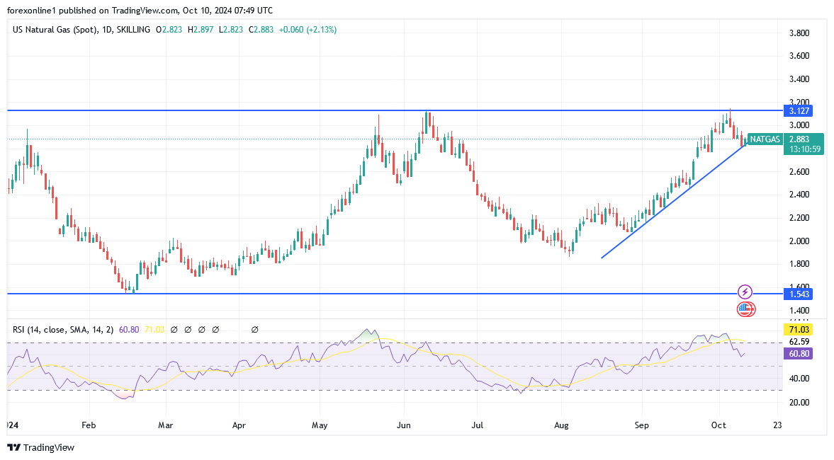 شارت سعر الغاز الطبيعى