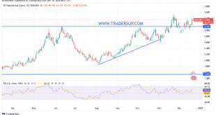 شارت سعر الغاز الطبيعى