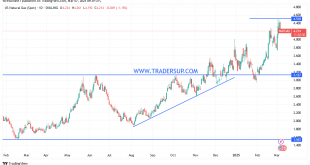 شارت سعر الغاز الطبيعى