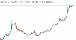 الدولار مقابل الجنيه المصرى